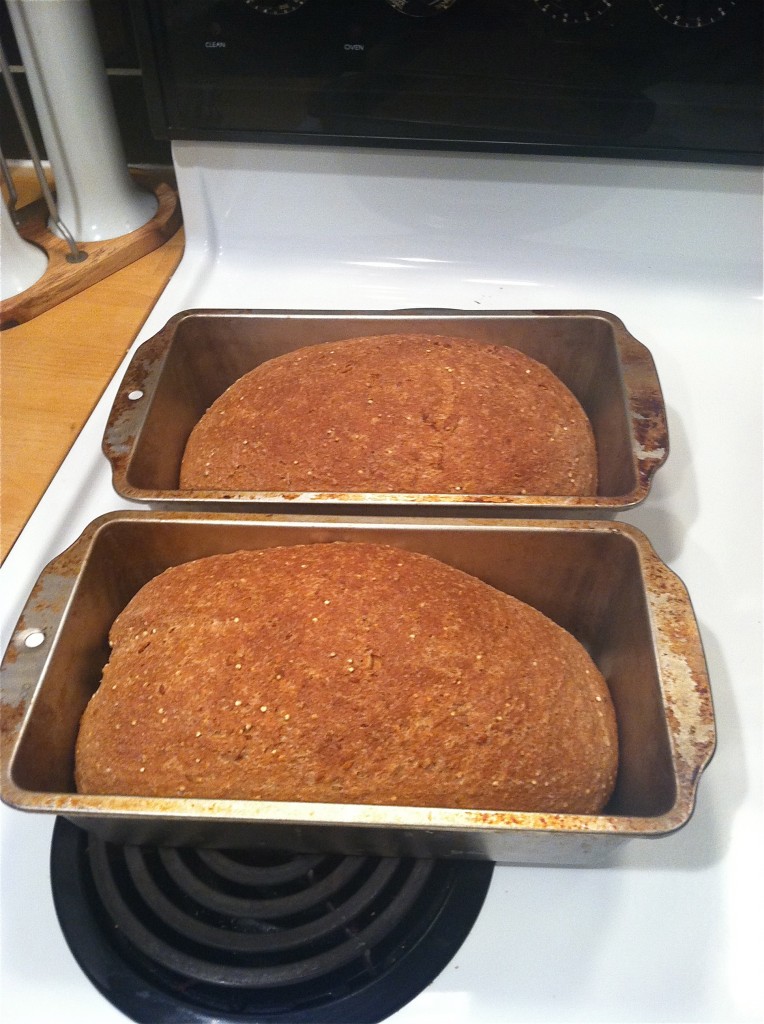 copycat Daves killer bread recipe