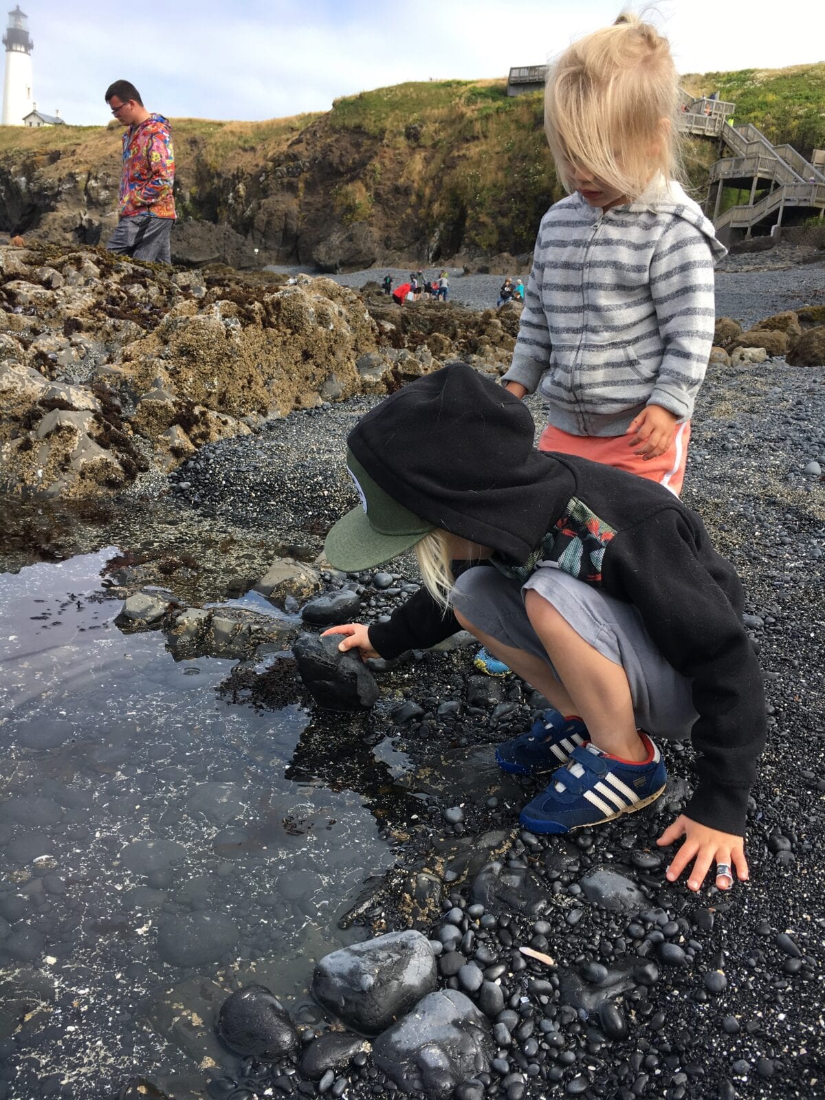 tide pools