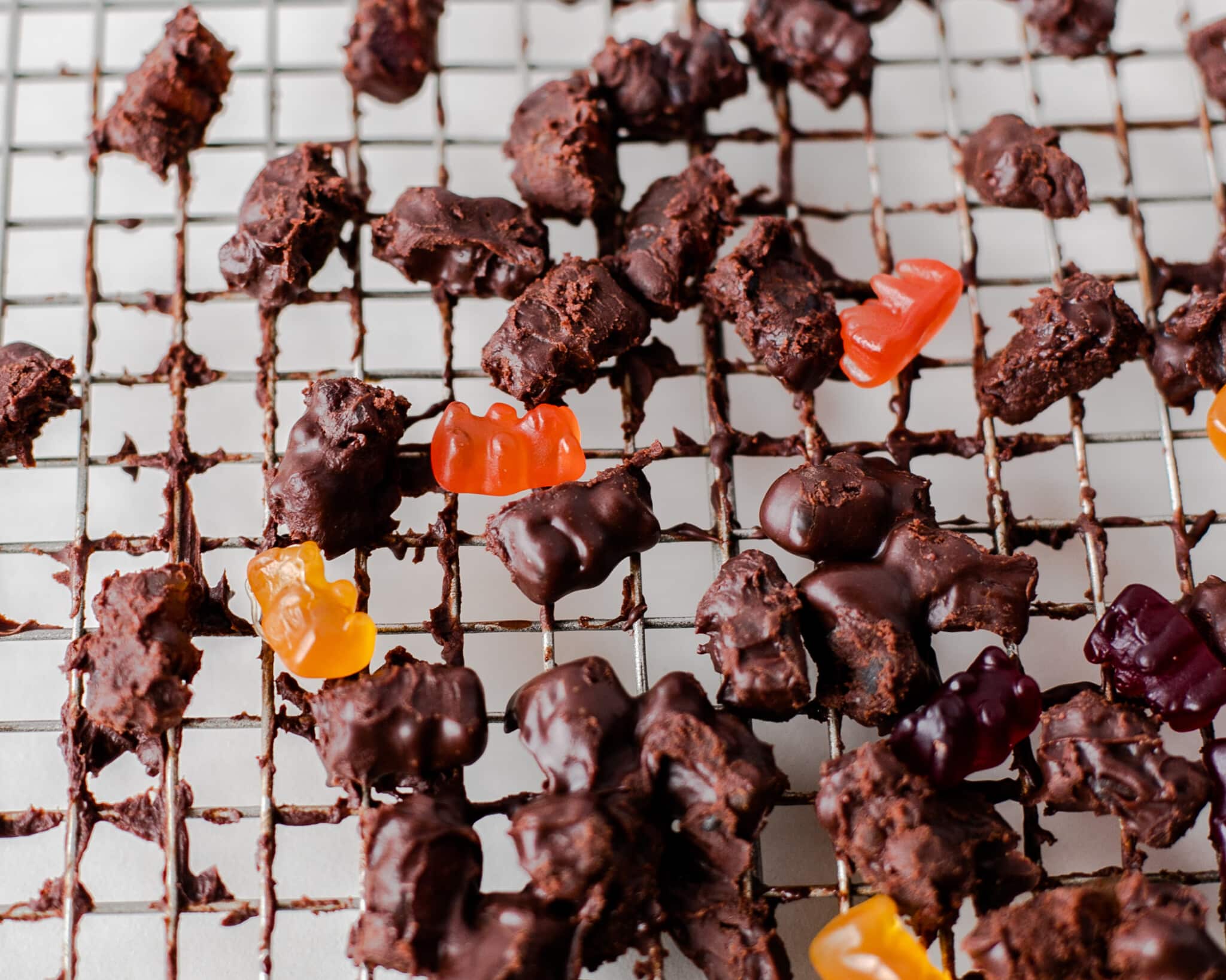 homemade chocolate gummy bears