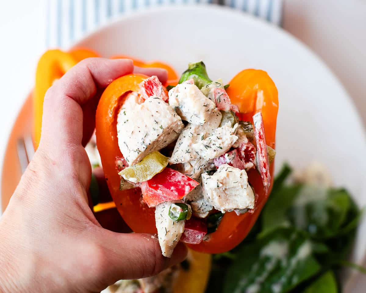 chicken pickle salad recipe