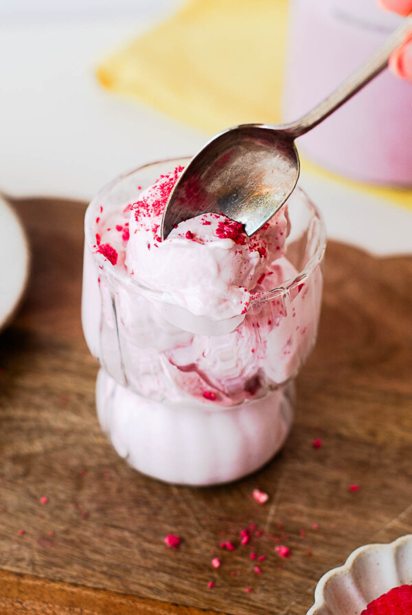 A spoon pressing into creamy raspberry protein ice cream topped with crushed freeze-dried raspberries, highlighting the smooth, scoopable texture.